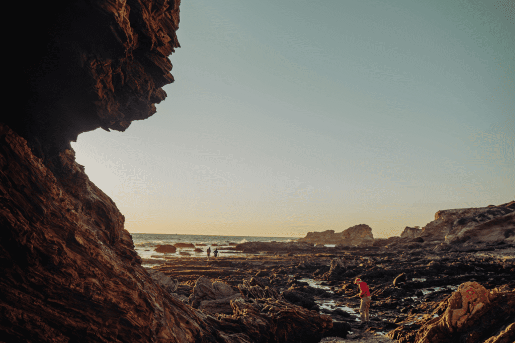 California Exploring Crystal Cove Tide Pools And Little Treasure Cove
