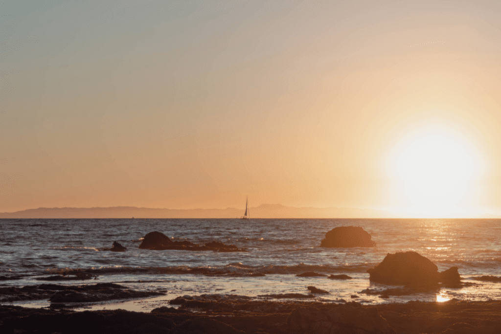 California Exploring Crystal Cove Tide Pools And Little Treasure Cove